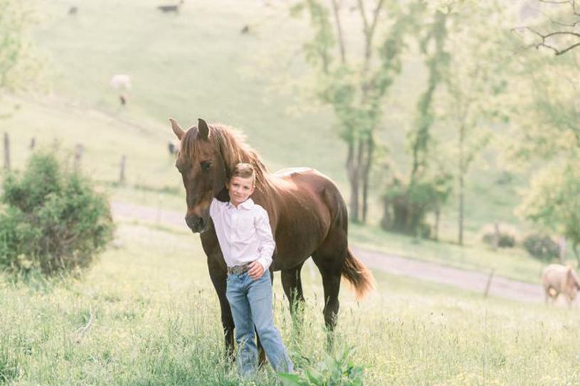 Skyline Stables, LLC - Homestead Business Directory